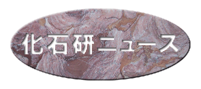Όj[X